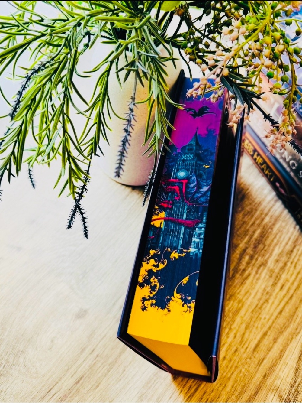 Fairyloot Exclusive Edition A Language Of Dragons by S. F. Williamson